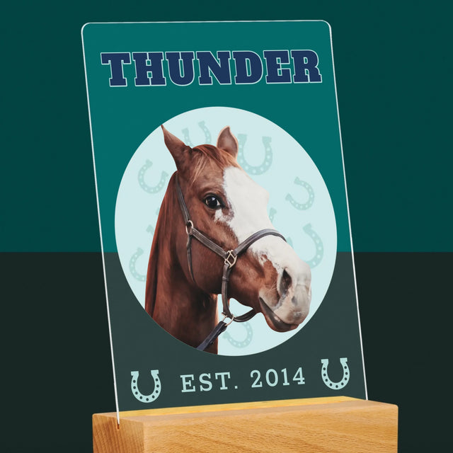 Twoja Postać: Twój Koń Varsity - Wydruk Na Szkle Akrylowym | DE