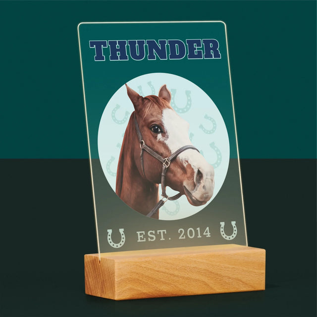 Twoja Postać: Twój Koń Varsity - Wydruk Na Szkle Akrylowym | DE