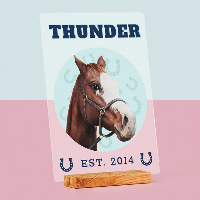 Twoja Postać: Twój Koń Varsity - Wydruk Na Szkle Akrylowym | DE