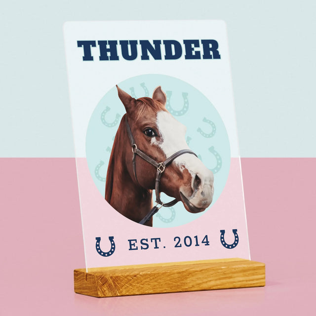 Twoja Postać: Twój Koń Varsity - Wydruk Na Szkle Akrylowym | DE