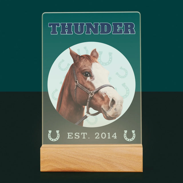 Twoja Postać: Twój Koń Varsity - Wydruk Na Szkle Akrylowym | DE